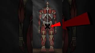 Why Titans Have No Reproductive Organs?