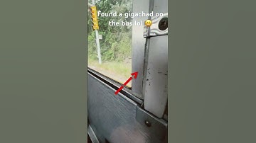 Found a wild gigachad #phonk #gigachadtheme #music #marvel