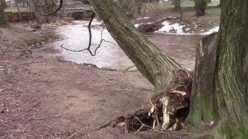 Cold temperatures, high winds hit Whatcom County
