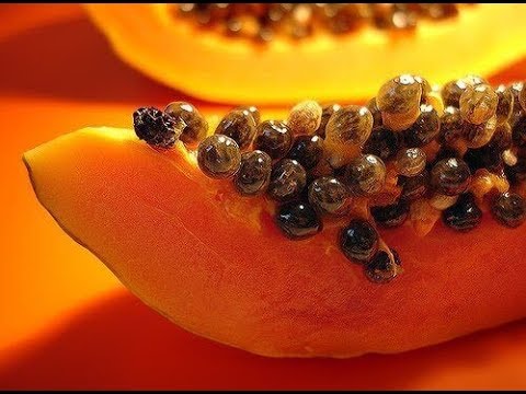 Video: Hebben papajazaden papaïne?