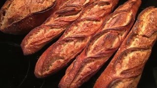 Baking Jeffrey Hamelman's Pain au Levain w/ mixed levains