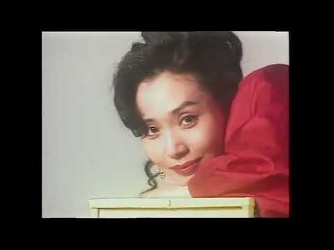 鄺美雲 1993央視春晚歌曲