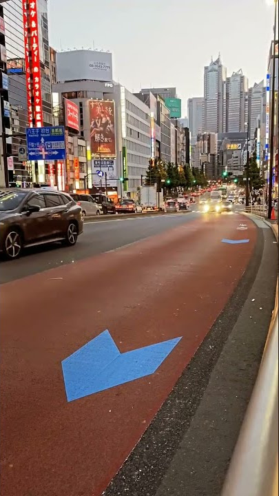 japan street🏯 #japan #japanese #japantravel #jepang #fyp #video #fotografia #story #beautiful