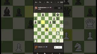 1577 vs 1574 full Chess game