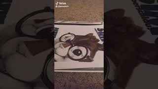 Part 5 showing my Simon and Jeanette pictures #alvinandthechipmunks