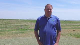 Meet the Researcher: Jonathan Kleinjan, SDSU Extension Agronomist