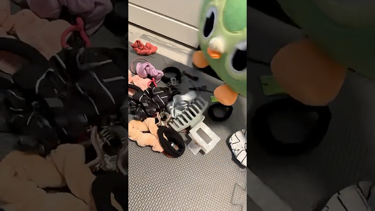 Unexpected Home Chaos with My Genius Pet 