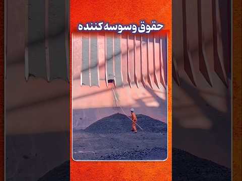 کار مرگبار خدمه کشتی برای تمیزکاری پاداش وسوسه انگیز 300هزار دلاری