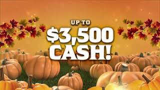 Twin Pine Pumpkin Patch Payout