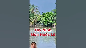 hồ dầu tiếng tiếp tục xả nước những căn nhà phước chỉ Tây Ninh chịu sự ảnh hưởng ngập nước ￼