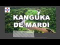 KANGUKA DE MARDI LE 14/06/2022 par Chris NDIKUMANA