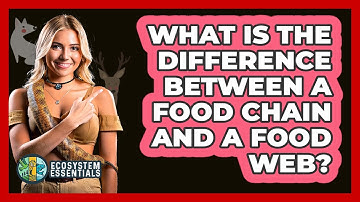What Is the Difference Between a Food Chain and a Food Web?