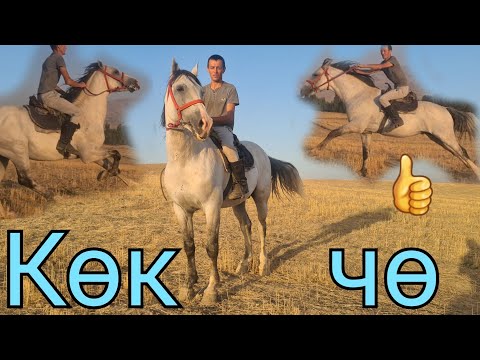 Бейне: Вуф атты котенканы қалай салуға болады?