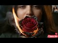 سأخنق صرختي   عالم بلا أمل أغنية تركية مؤثرة مترجمة