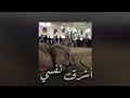 انشودة أشرقت نفسي بنور من فؤادي مسرعة 