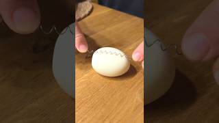 Perfectly cut boiled egg trick🥚#egg #cuttingegg #boiledegg