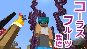 マイクラmkコーラスフルーツ育て方