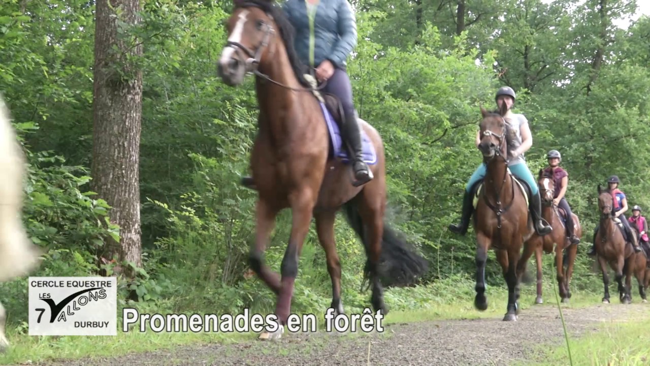 randonnee cheval durbuy