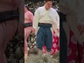 朝白竜 対 竜雷 #大相撲 #sumo #朝白竜#竜雷#大相撲神戸場所