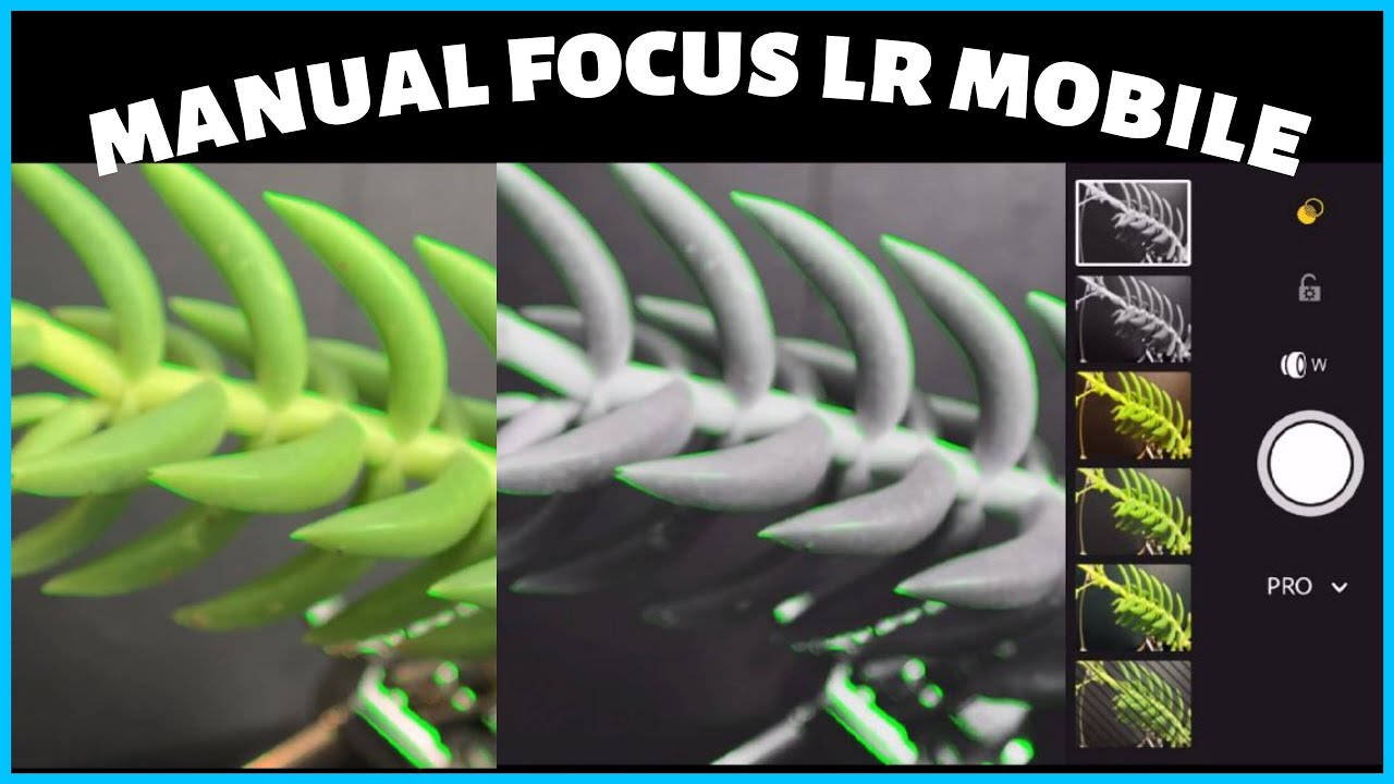 Manual focus in Lightroom mobile camera app YouTube