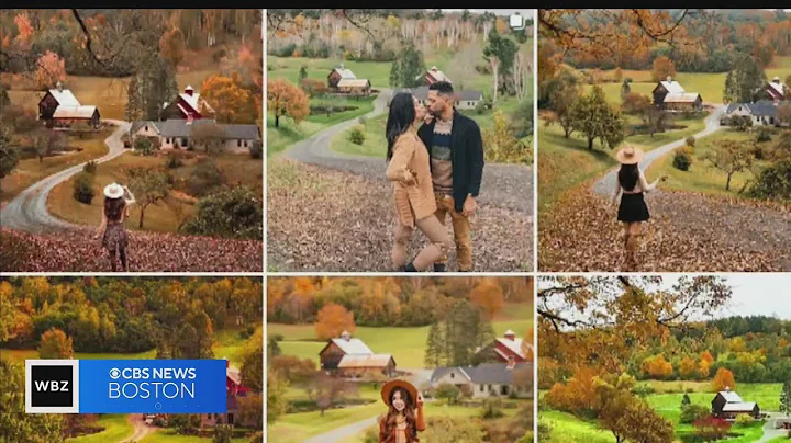 Vermont town closing roads near farm after influx of social media leaf peepers