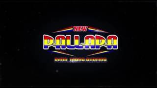 Cemara biru new pallapa