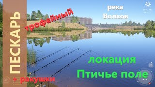 Русская рыбалка 4 - река Волхов - Пескарь трофейный и ракушки