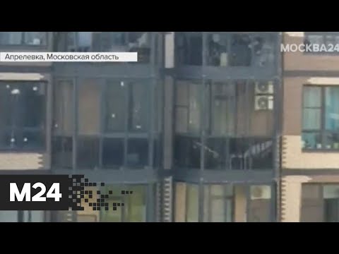 Первые снежинки заметили в Подмосковье - Москва 24