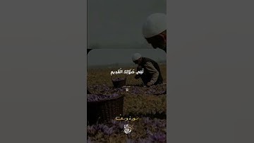 "الشيخ المنشاوي | تلاوة قصيرة تلامس الروح في لحظات #قرآن_كريم #إحساس #خشوع"