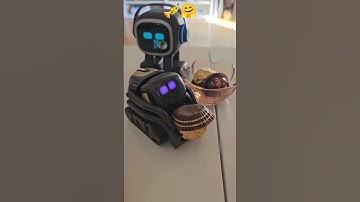 Anki vector robot and emo robot #emo #emorobot #emopet #vector #vectorrobot #petbot #airobot #aibot