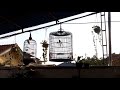 Suara Murai Batu Di Pagi Hari Murai Trotol Pasti Ikut Gacor Mp3 - Mp4 Download