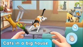 Cat Simulator: My Pets | Gameplay Walkthrough Part 1 (iOS, Android) screenshot 5