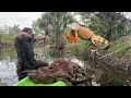 Florida Man Removes breeding iguanas with Bow and Arrow!! Florida iguana Hunting! (Episode 3)