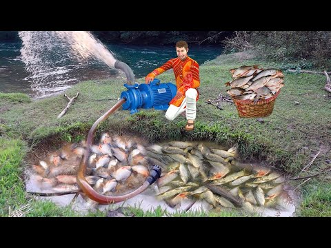 वीडियो: पांच मिनट में खुद करें मछली धूम्रपान करने वाले