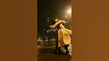 ليل ورعد وبرد وريح وائل كفوري 