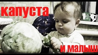 Полночная капуста - вместо сон часа! Midnight cabbage instead of sleep hours! Полночная капуста - вместо сон часа! Midnight cabbage instead of sleep hours!