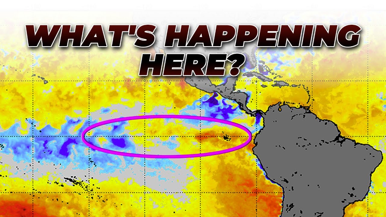 El Nino Coming On - But How Strong?