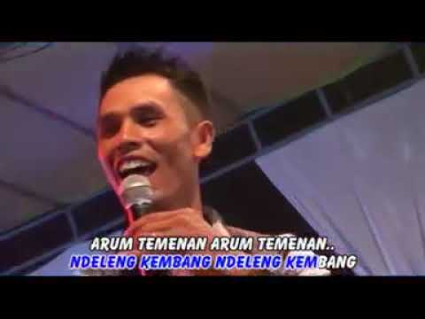 Lagu Banyuwangi lawas || Kembang Voc. Hari SP || [ BINTANG KAPUAS]