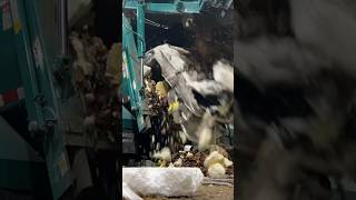 Trash Truck Unloading #garbagetruck #trashtruck #dumptruck #bulkyitems #illegaldumping