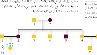 الانماط الأساسية لوراثة الانسان /مخطط السلالة /احياء ثاني ثانوي مسارات الجزء الثاني