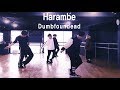 Dumbfoundead Harambe UrbanDance Choreography 신촌댄스학원 mp3