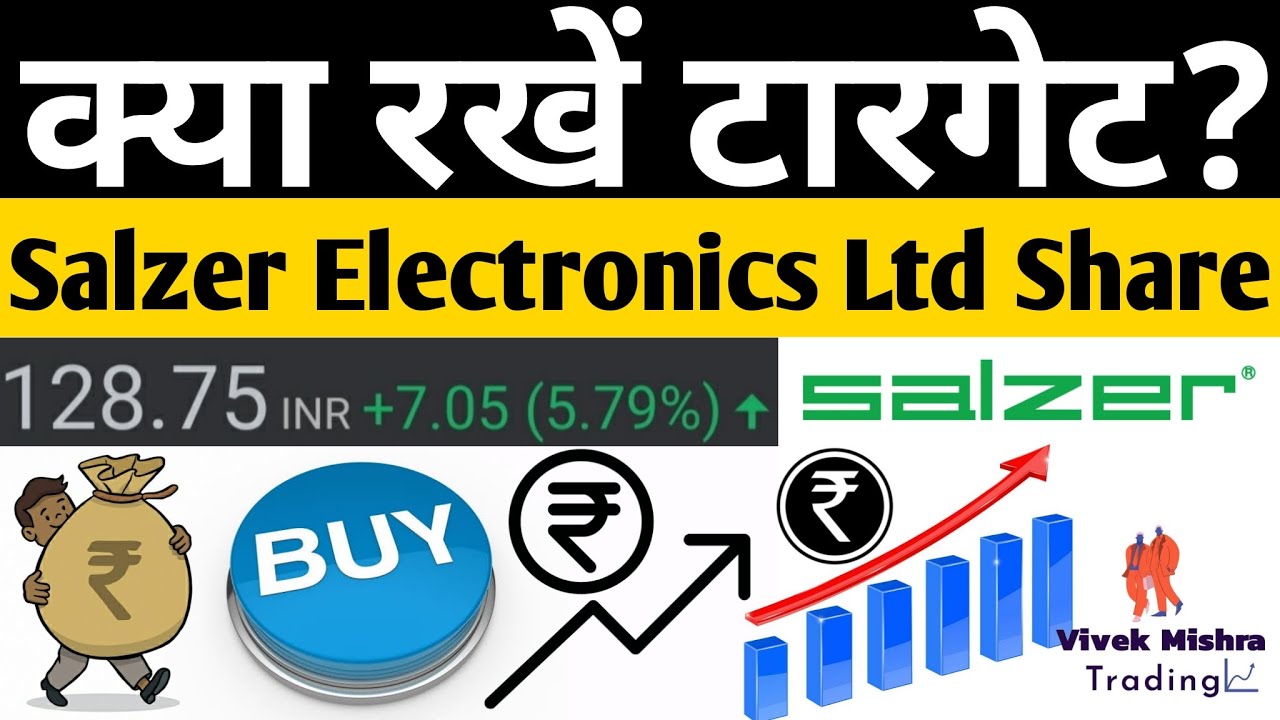 Salzer Electronics Ltd Share Price Financials Quarterly Earnings Target For Buyers NSE: SALZERELEC