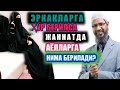 Др Закир Найк Жаннатда аёлларга нима берилади Др Закир Найк Жаннатда аёлларга нима берилади