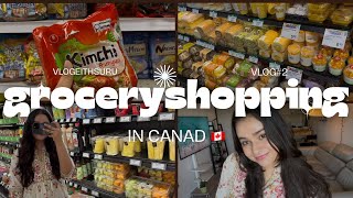 Grocery shopping vlog in Canada 🇨🇦  |walmart & T&T #dailyvlogging #groceryshopping #groceryhaul