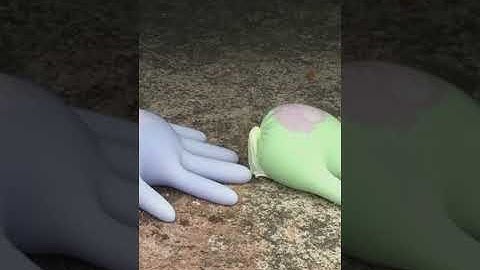 ASMR Crushing Crunchy & Soft Things by Car EXPERIMENT ( Very Satisfying & Relaxing ) #shorts