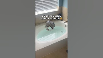 The first thing I did with a Quest 3 VR Headset!