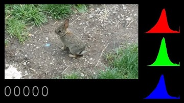 Degradation by rotation