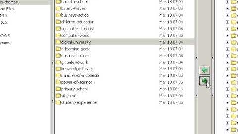 Digital University Moodle theme installation