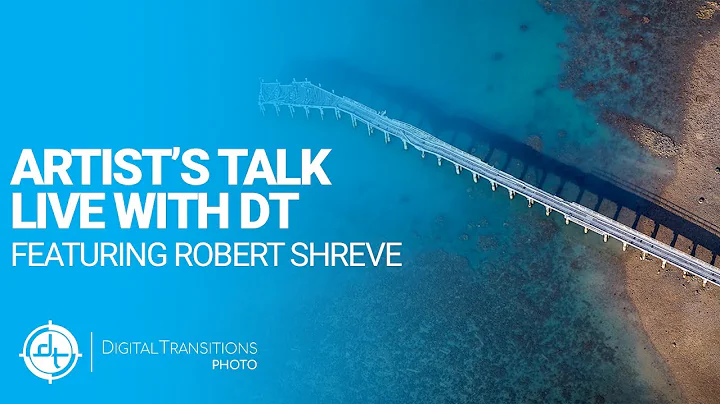 Artist's Talk Live With DT: Robert Shreve