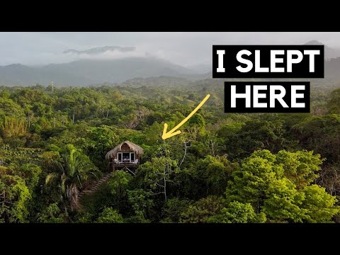 STAYING IN A JUNGLE TREEHOUSE | COLOMBIA ? ?